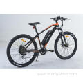 XY-Sportsman eMTB with stable performance